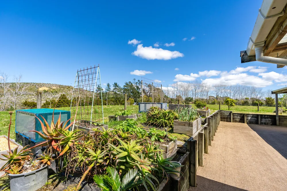 Photos of 83 Waitangi Road