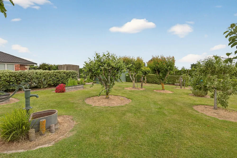 Photos of 225 Marshmans Road
