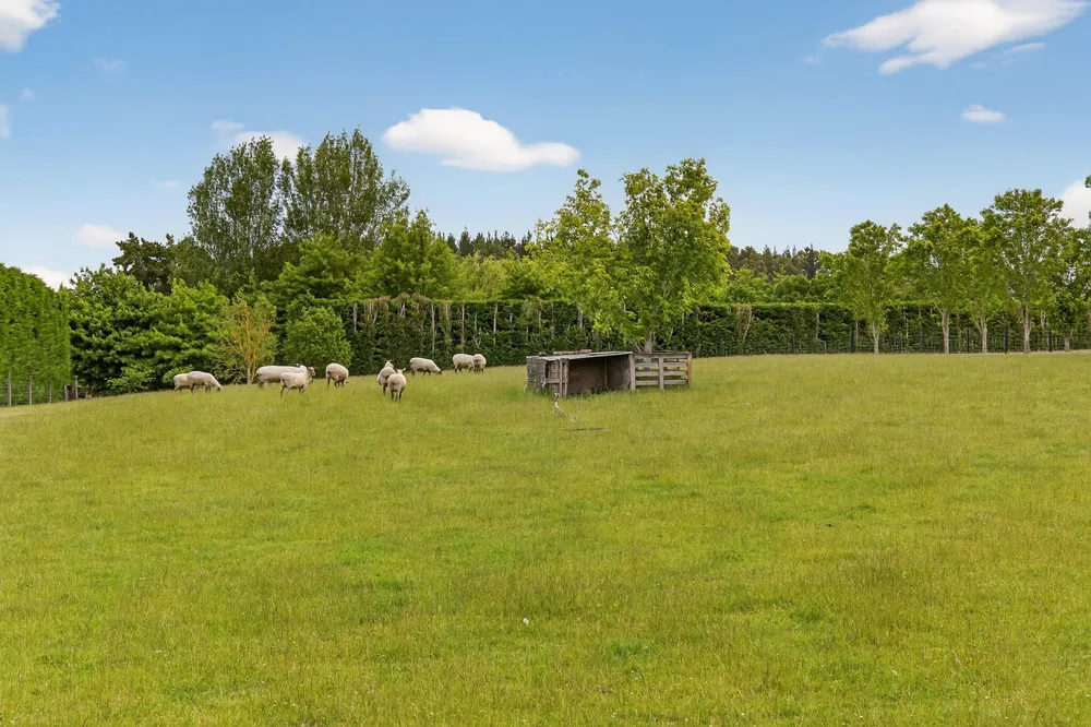 Photos of 225 Marshmans Road