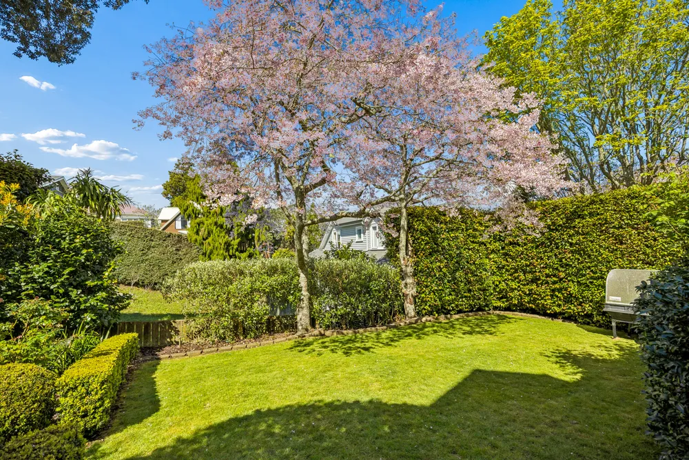 Photos of 13A Mainston Road
