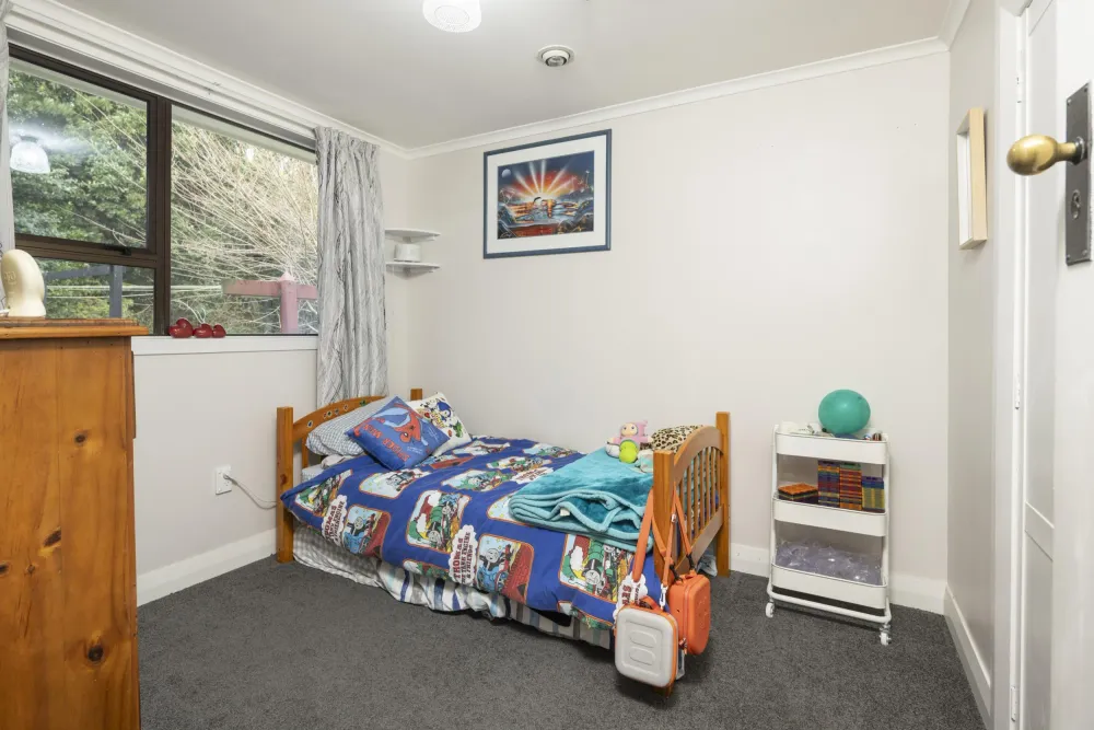 Photos of 56 Arawa Street