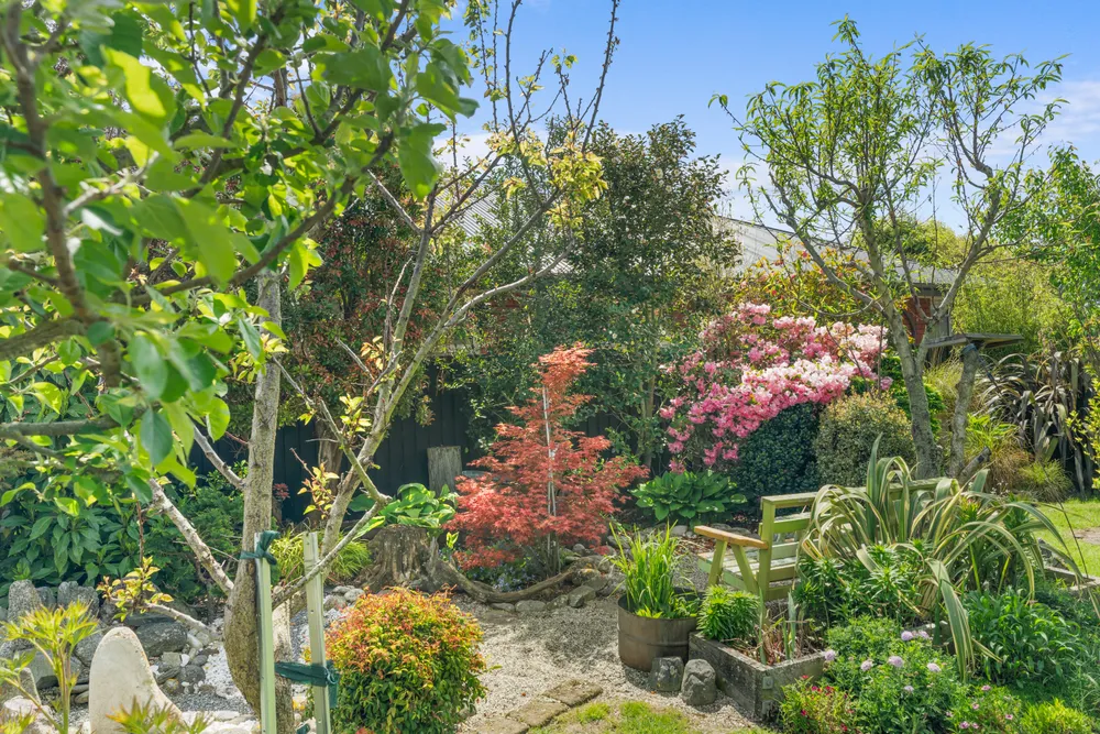 Photos of 235 Maidstone Road