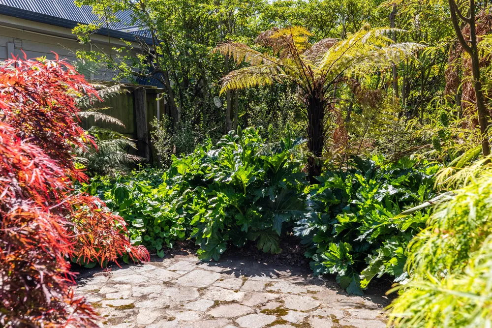 Photos of 27 Snowdon Road