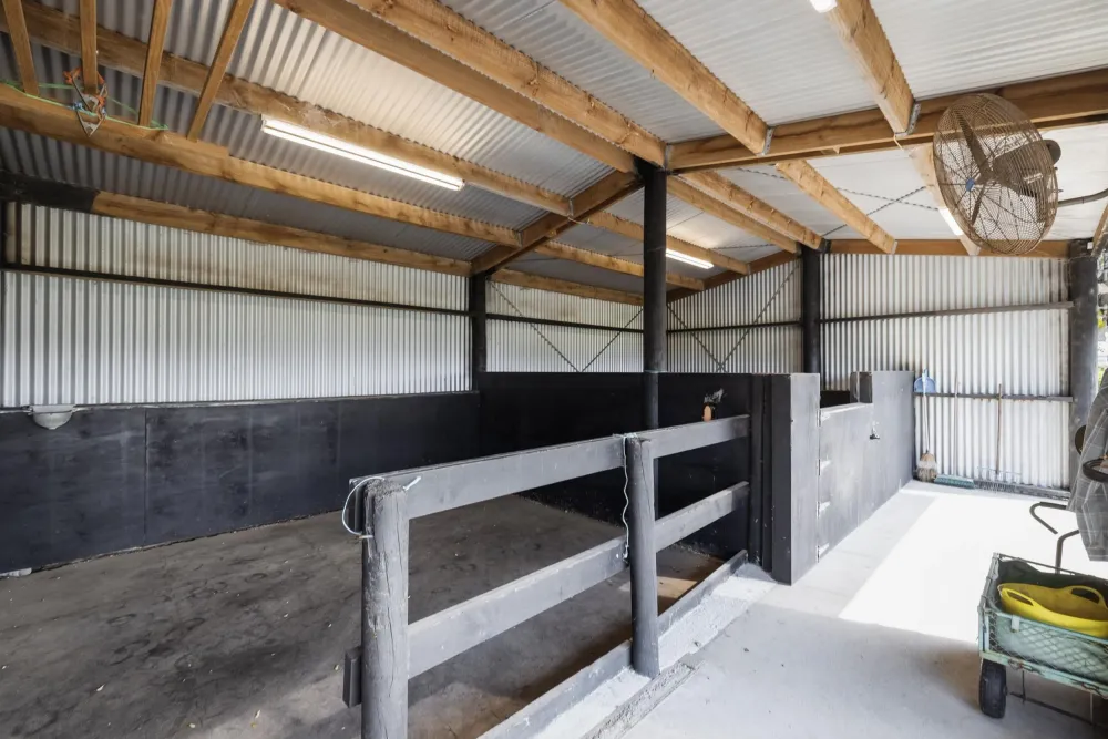 Photos of 3 Sarona Park Drive