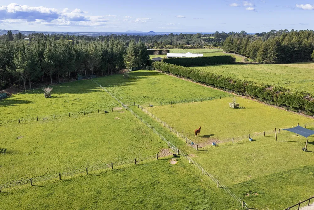 Photos of 3 Sarona Park Drive