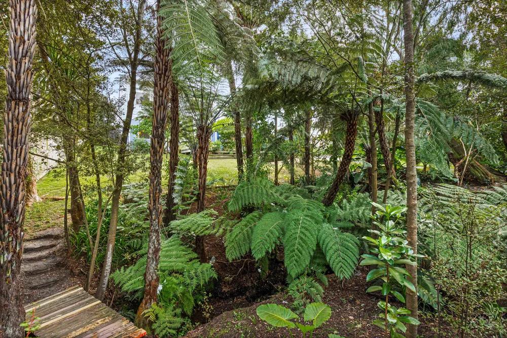 Photos of 18 Dawnhaven Drive