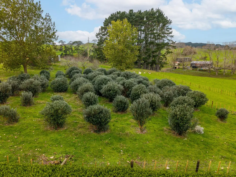 Photos of 636 Kopuku Road