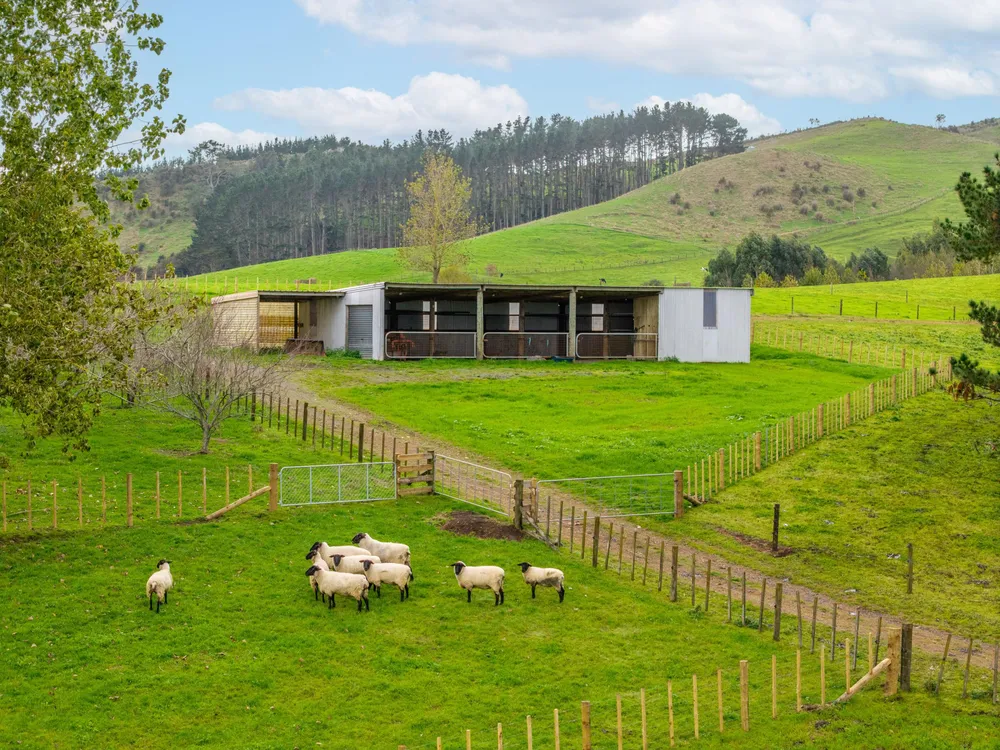 Photos of 636 Kopuku Road
