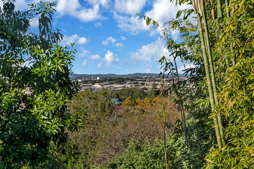 Photos of 67A Ngatiawa Street