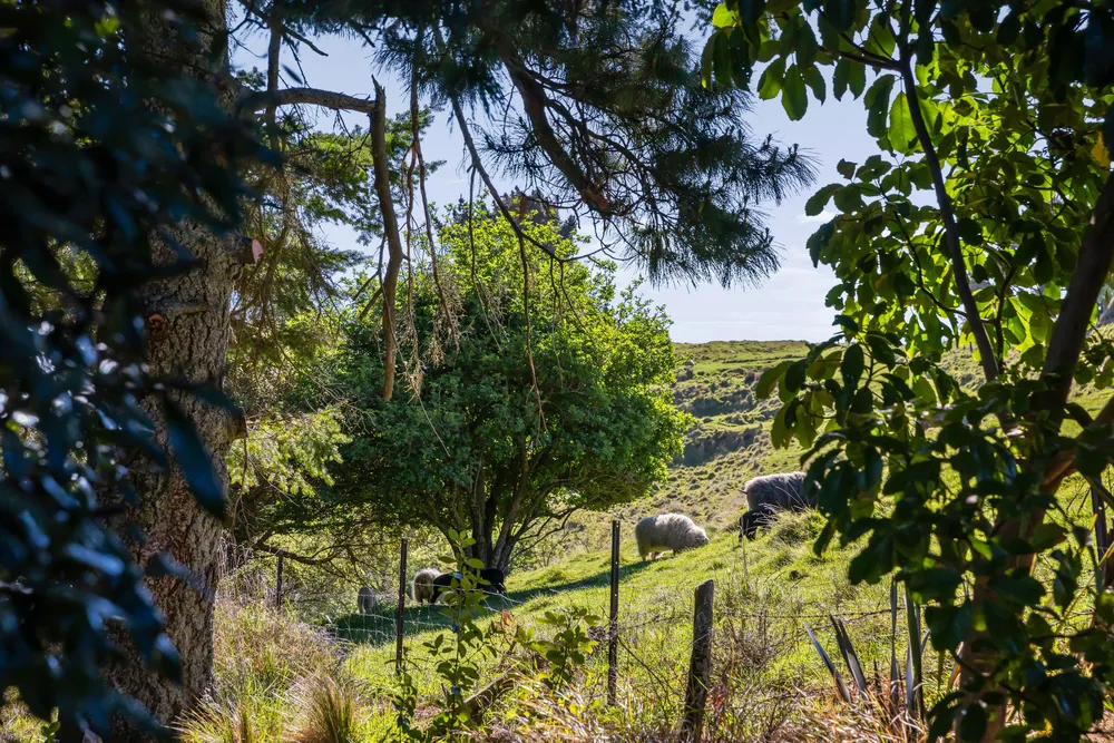 Photos of 410 Worsleys Road