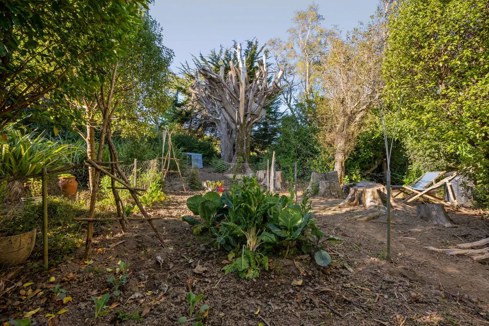 Photos of 410 Worsleys Road