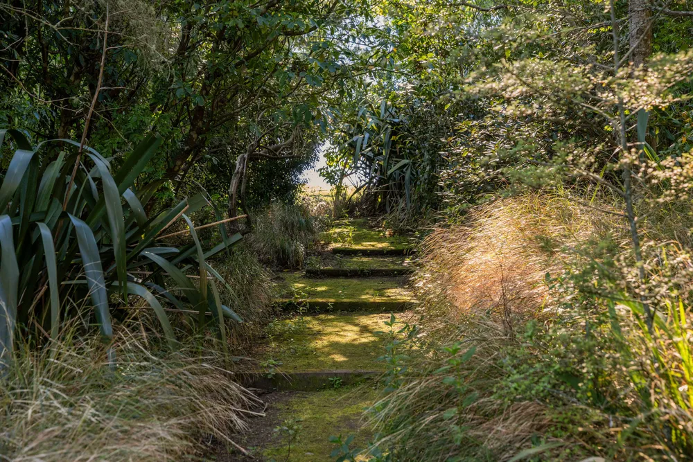 Photos of 410 Worsleys Road
