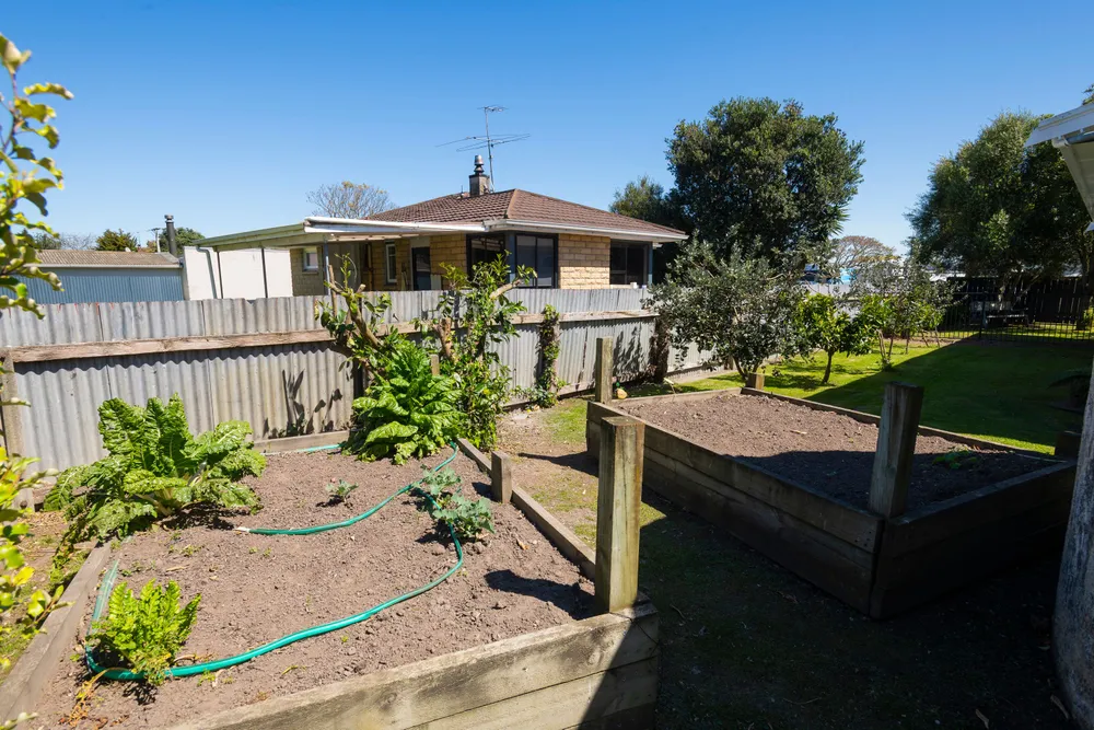 Photos of 4 Lytton Road
