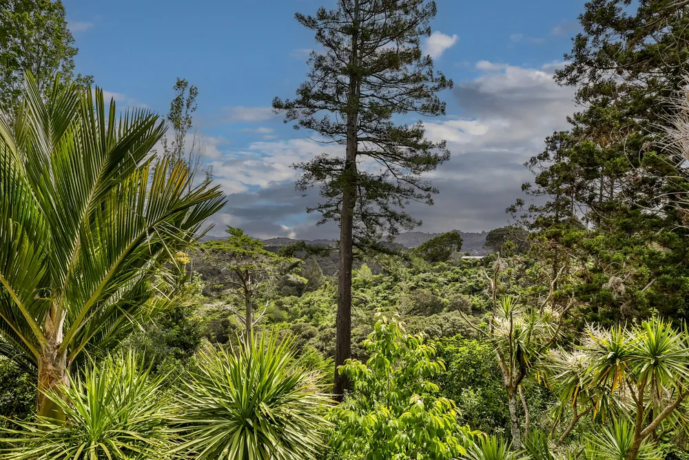 Photos of 665 South Titirangi Road