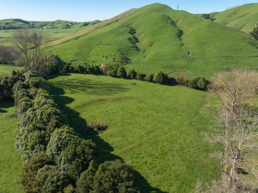 Photos of 1422 Tauwhare Road