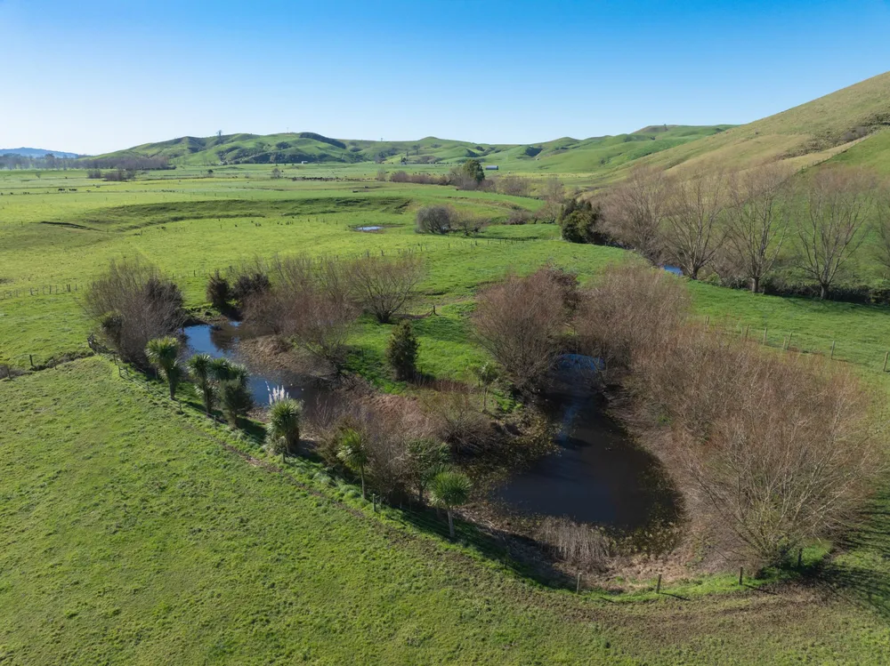 Photos of 1422 Tauwhare Road