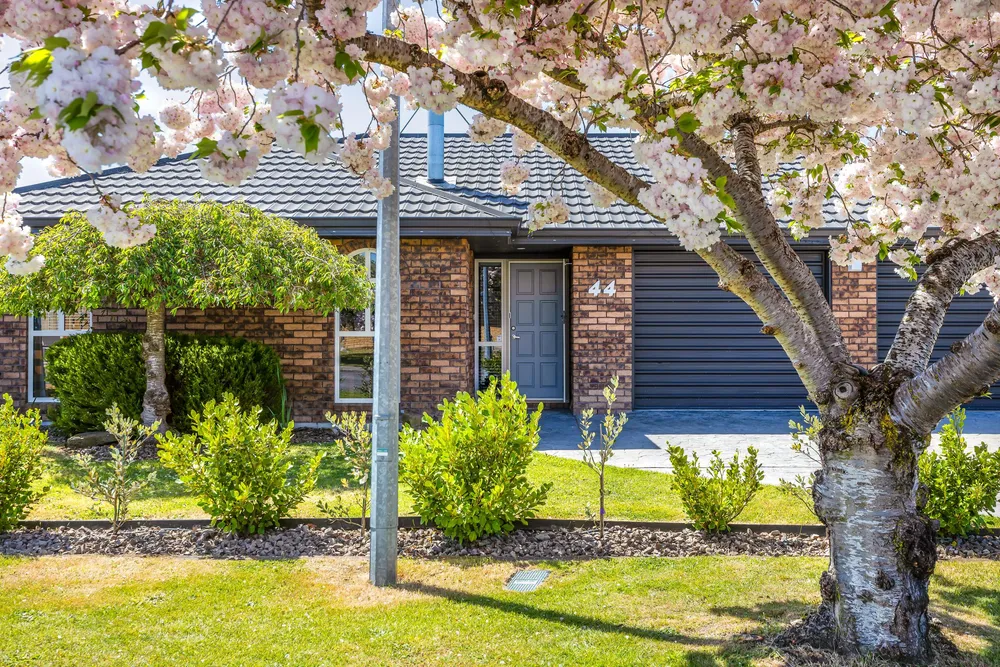 Photos of 44 Welsford Street