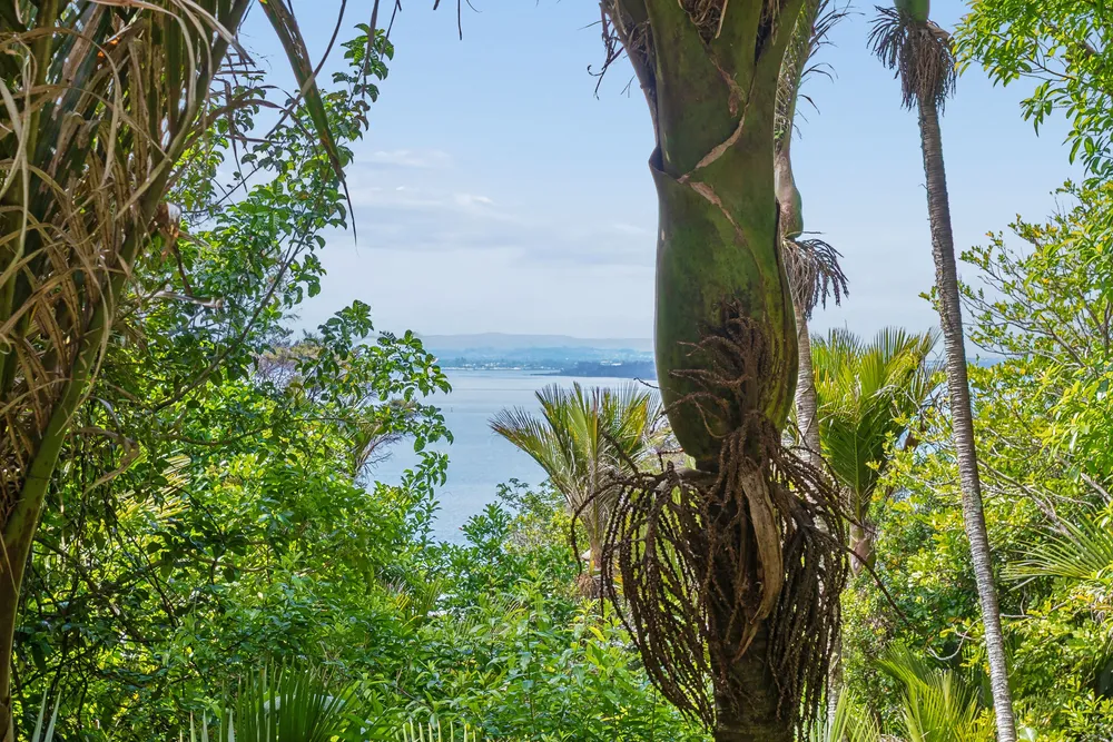 Photos of 54 Otitori Bay Road