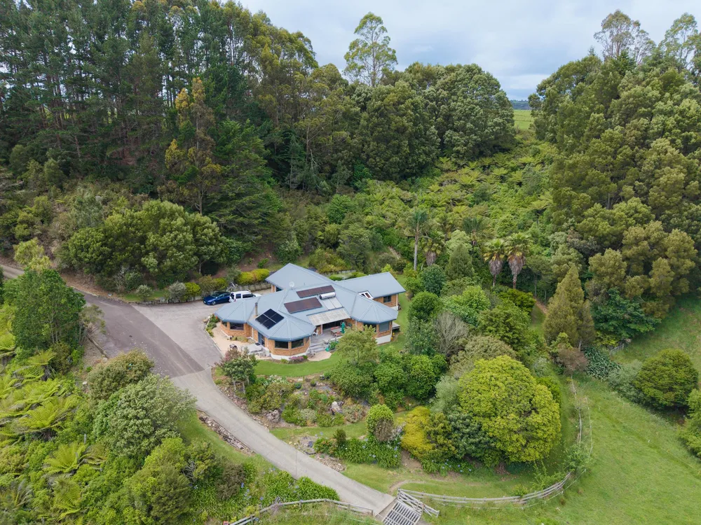 Photos of 316 Bluff Road