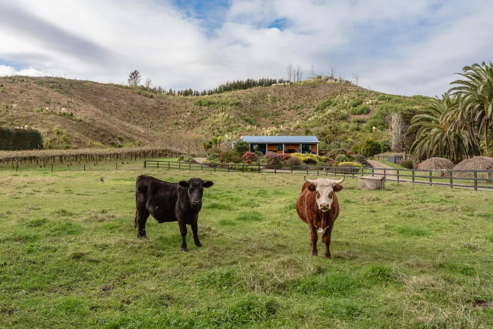 Photos of 389A MacDonald Road