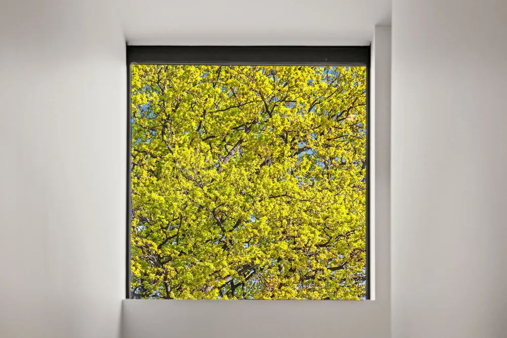 Photos of 1/33 Kilmore Street