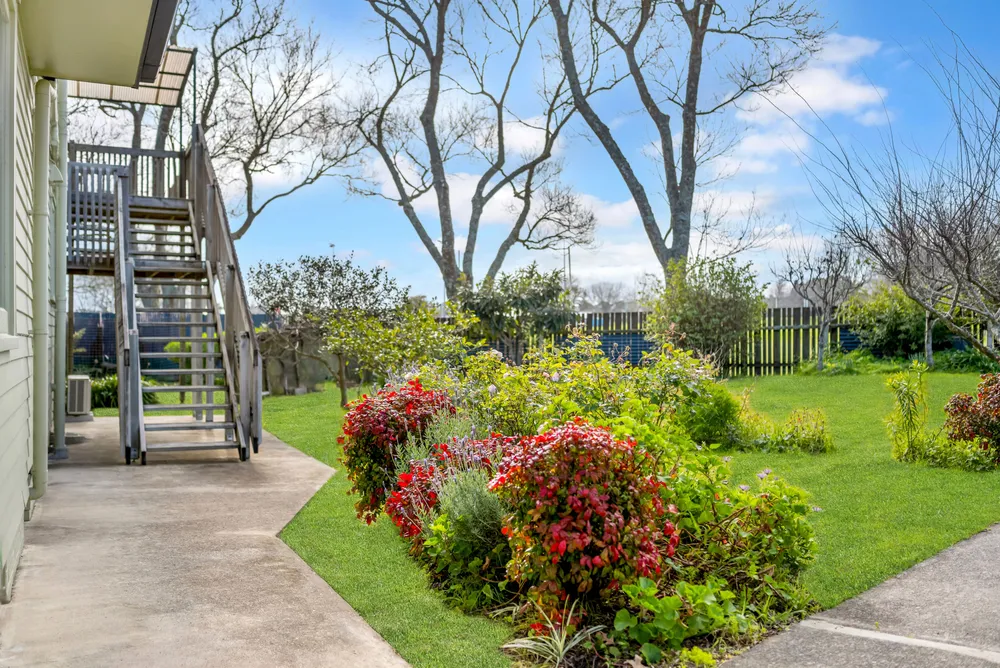 Photos of 86 Ti Rakau Drive