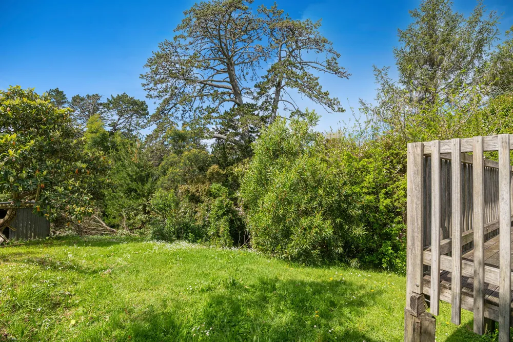 Photos of 14 Blue Gum Avenue
