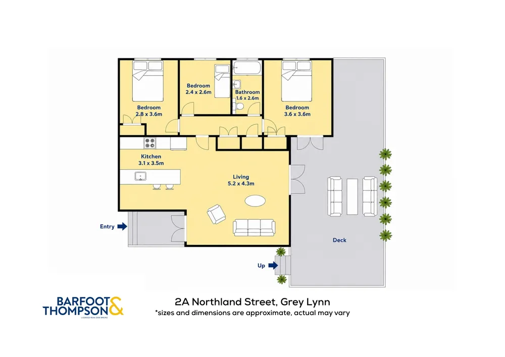 Photos of 2A Northland Street