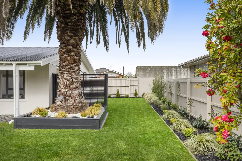 Photos of 18a Colligan Street