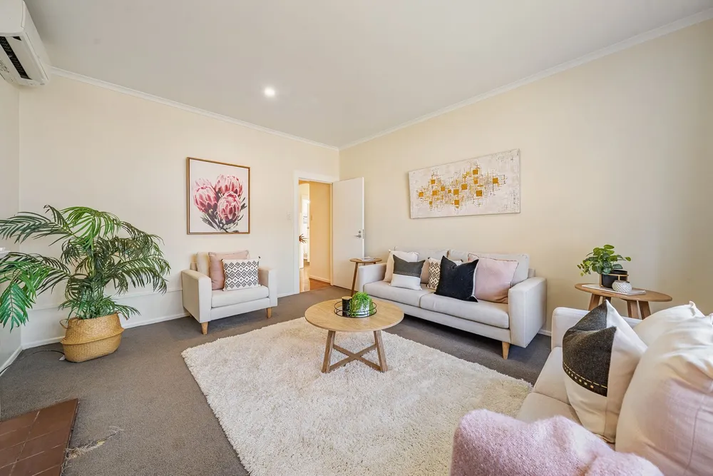 Photos of 55 Pharazyn Street