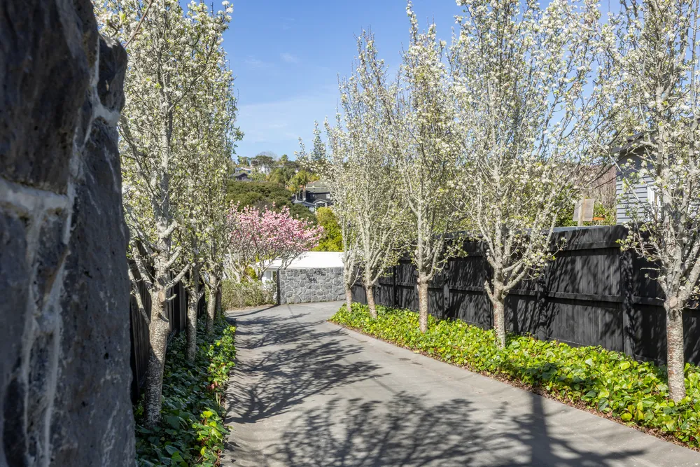 Photos of 82 Atkinson Road