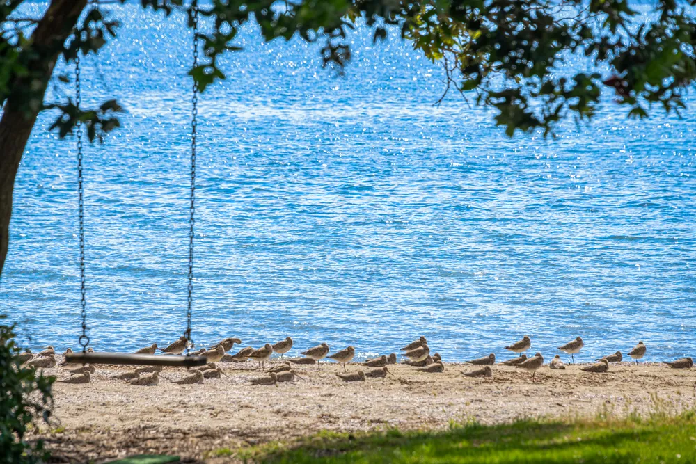 Photos of 27 Schooner Avenue