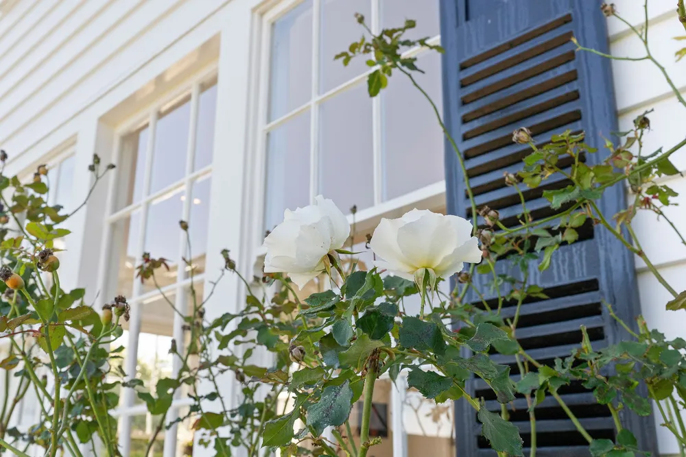 Photos of 37 Gladstone Road