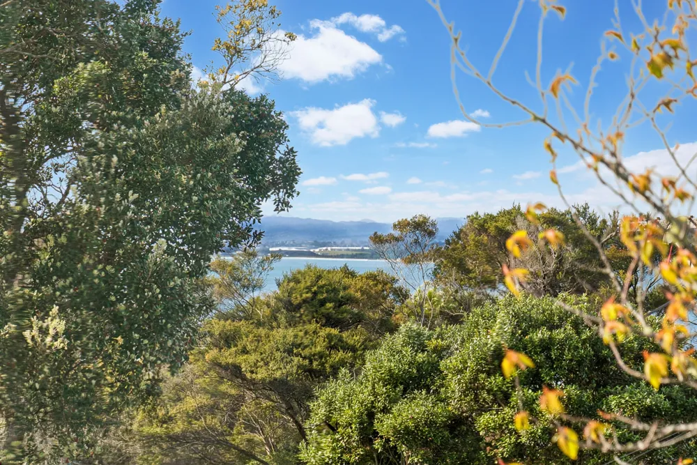 Photos of 61 Cliff View Drive