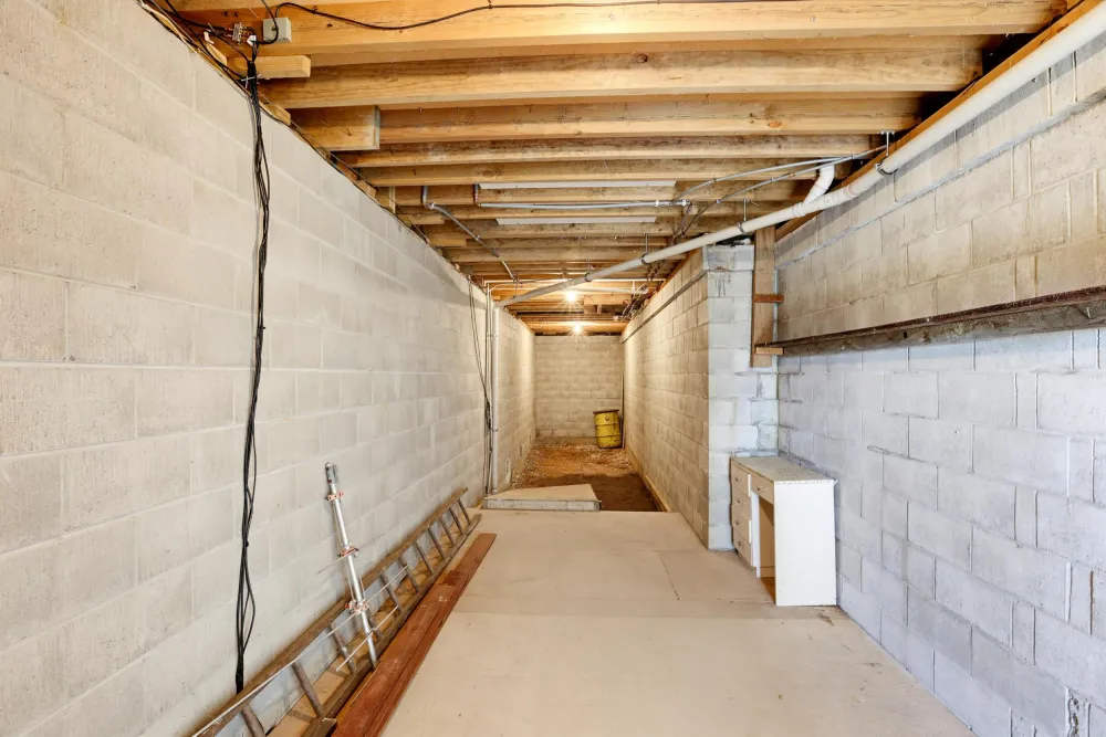Photos of 51 Watson Street