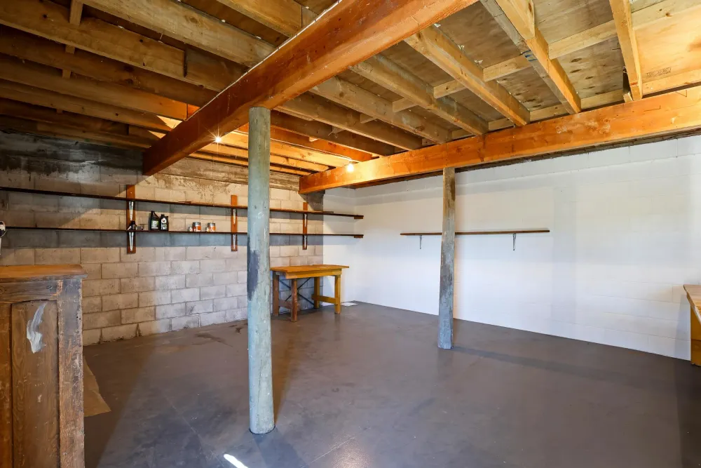Photos of 51 Watson Street