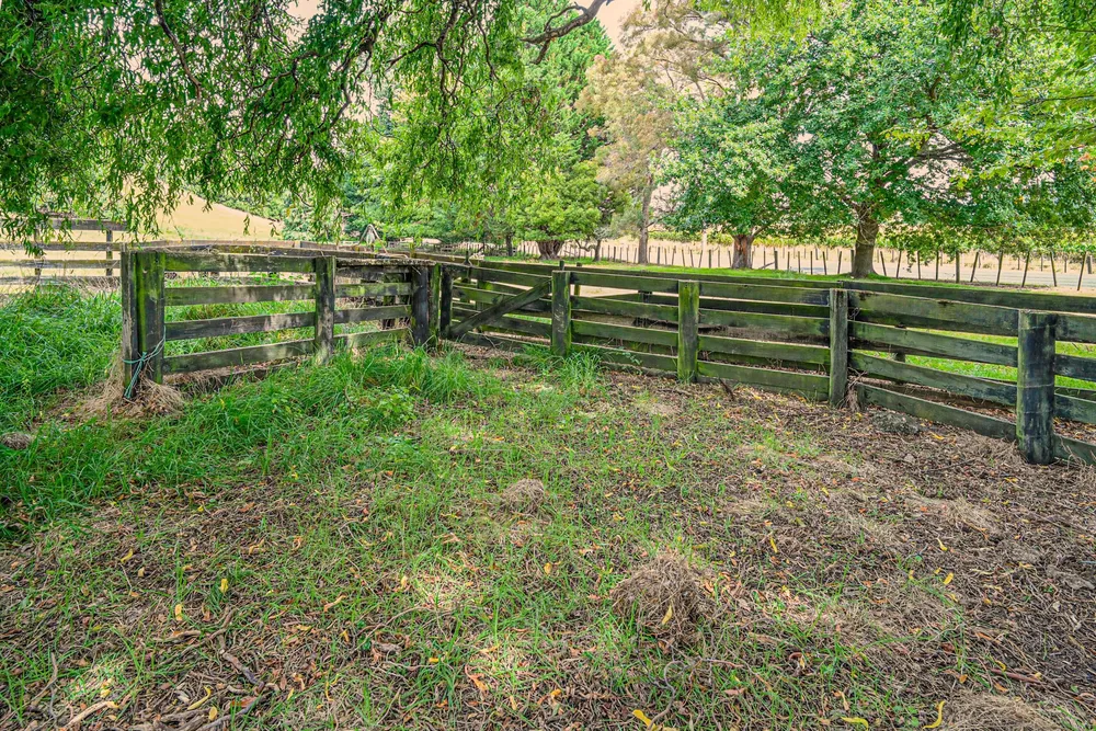 Photos of 564 Swamp Road