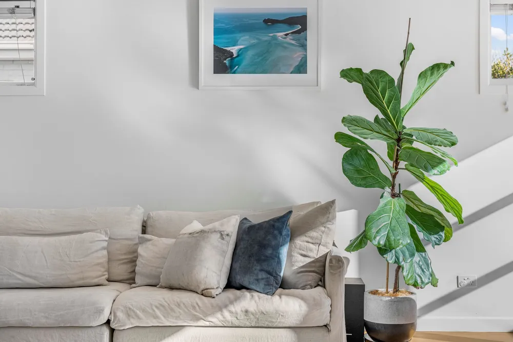 Photos of 41 Harapaki Road