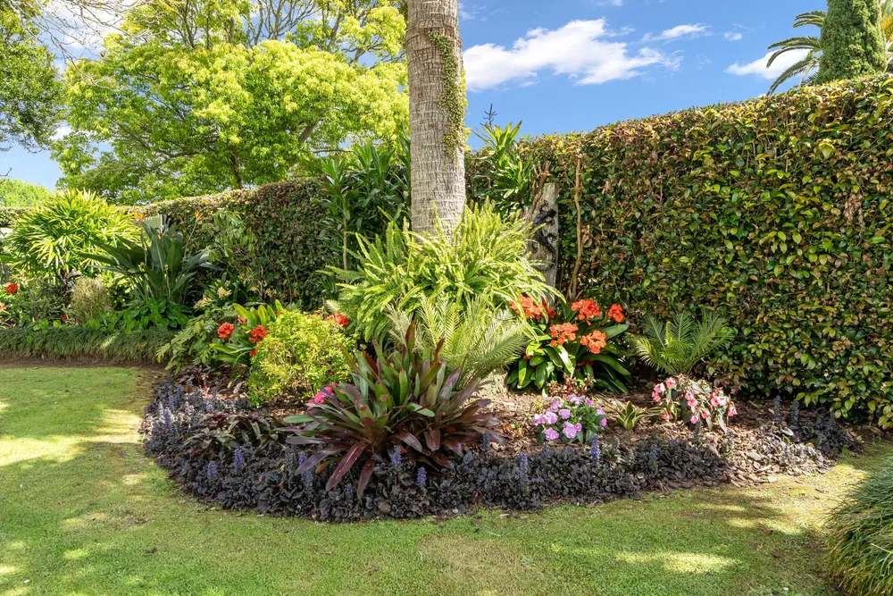 Photos of 40 Meadow Park Crescent