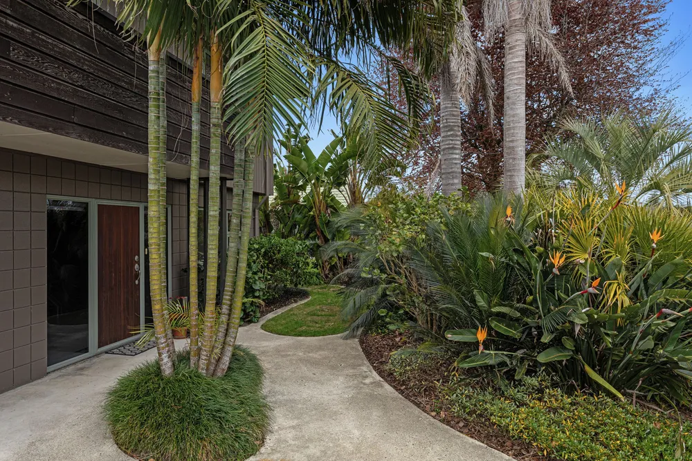 Photos of 4 Walter Park