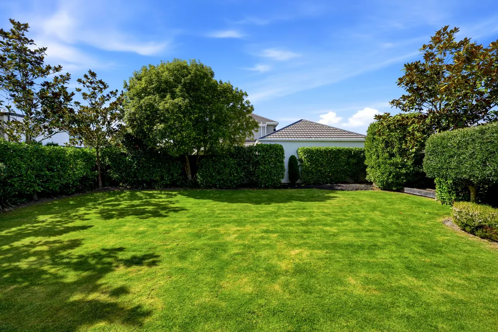 Photos of 136 Hamilton Avenue