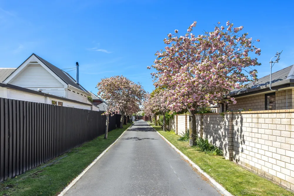 Photos of 204a Springfield Road