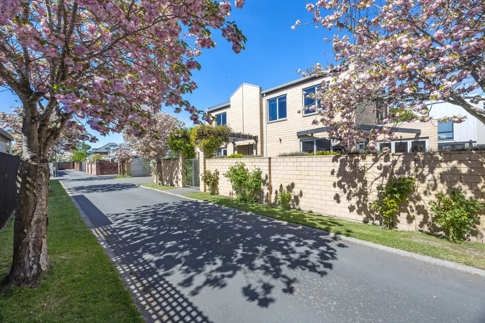 Photos of 204a Springfield Road