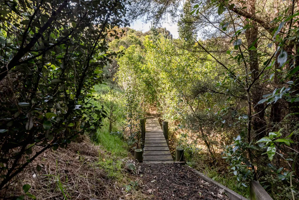 Photos of 17 Botany Lane
