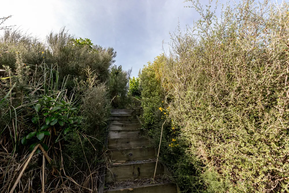 Photos of 17 Botany Lane
