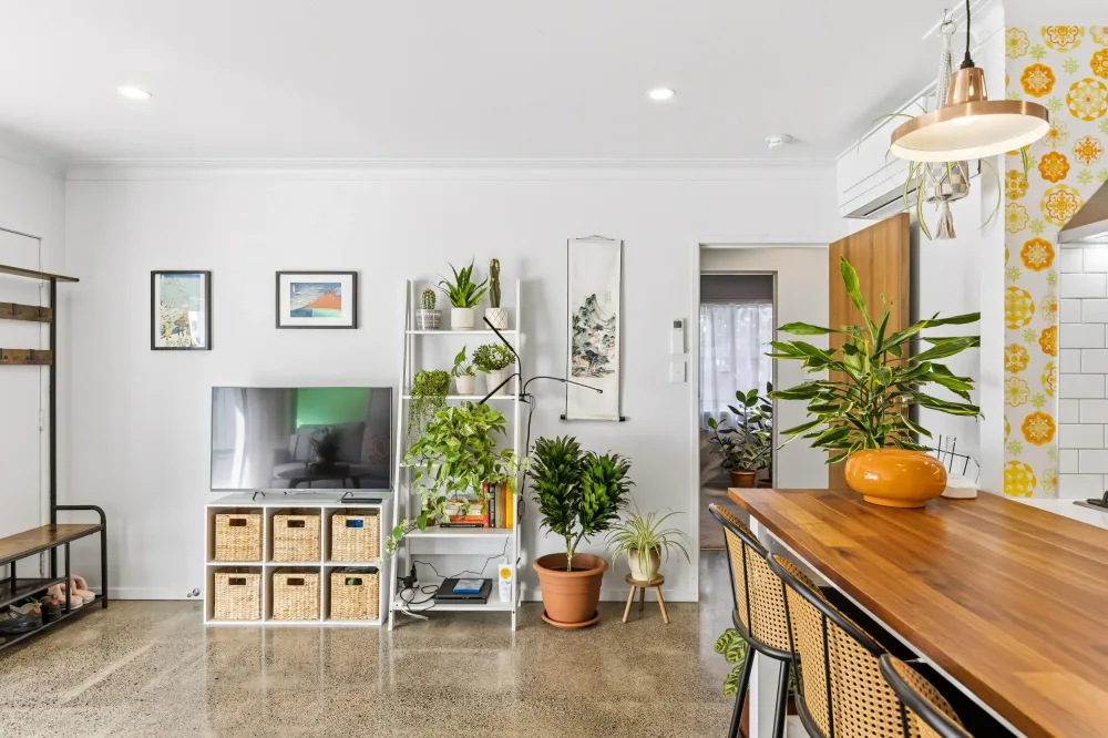 Photos of 1/100 Symonds Street