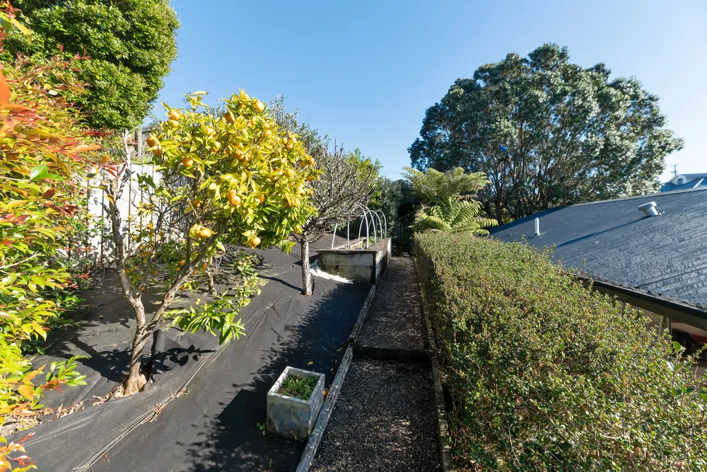 Photos of 37A Endeavour Street