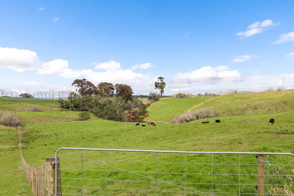 Photos of 202 Rodda Road