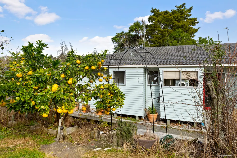 Photos of 15 Pavola Grove