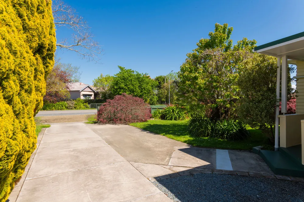 Photos of 60 Graham Road